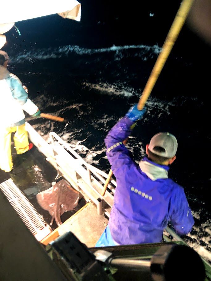 夜間の引き揚げ作業