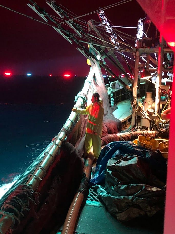 サンマ棒受け網