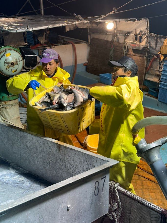 夜間・コンテナ運搬